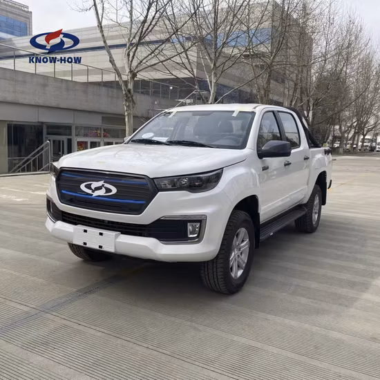 2023 nouveau design camionnette électrique mini camion chinois voiture de fret électrique personnalisation électrique disponible
