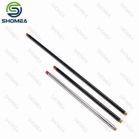 Shomea – antenne à tige télescopique noire, personnalisée, en acier inoxydable, galvanisée sous vide