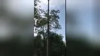 manivelle manuelle en aluminium de 10 m vers le haut du mât télescopique 1,8 m de hauteur fermée